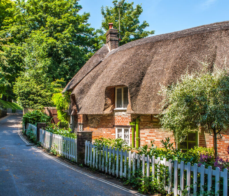 Dorset cottage with a thatched roof in summer