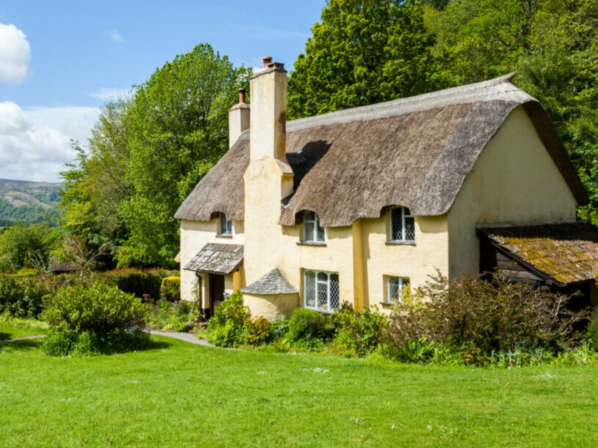 Longstraw - Thatch Advice Centre