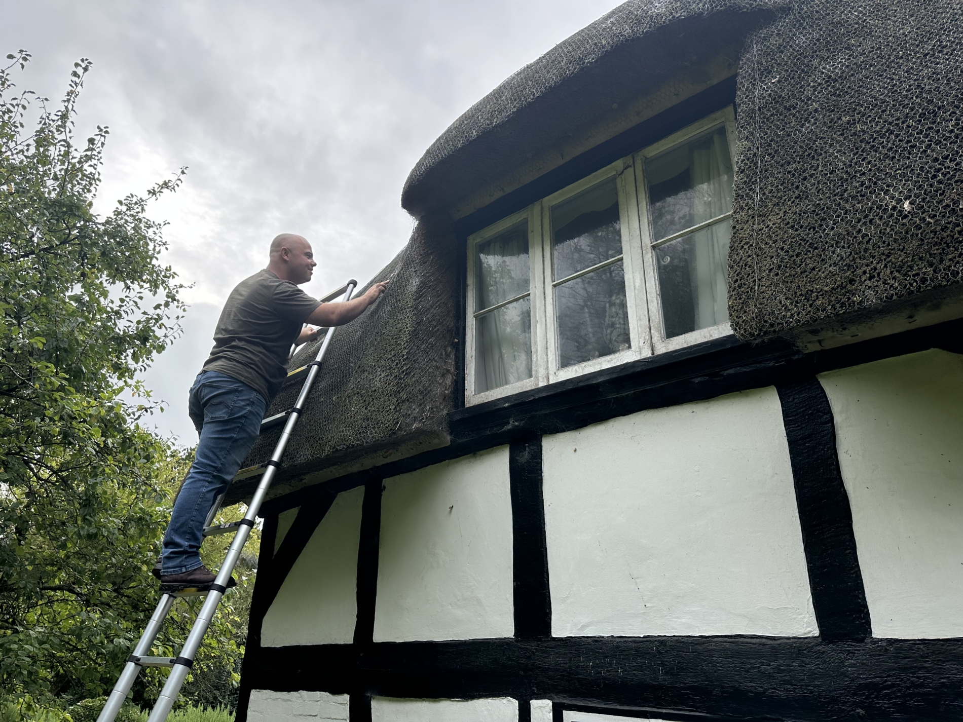 Longstraw - Thatch Advice Centre