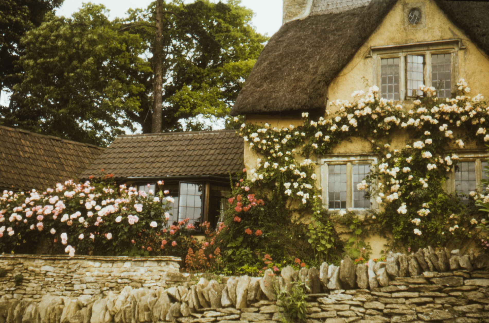 little cottage with flowers on the outside